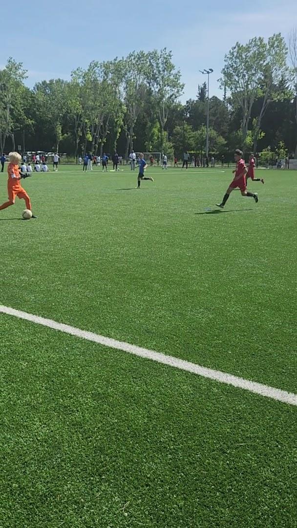 Stade de la Moliere - Photo 3